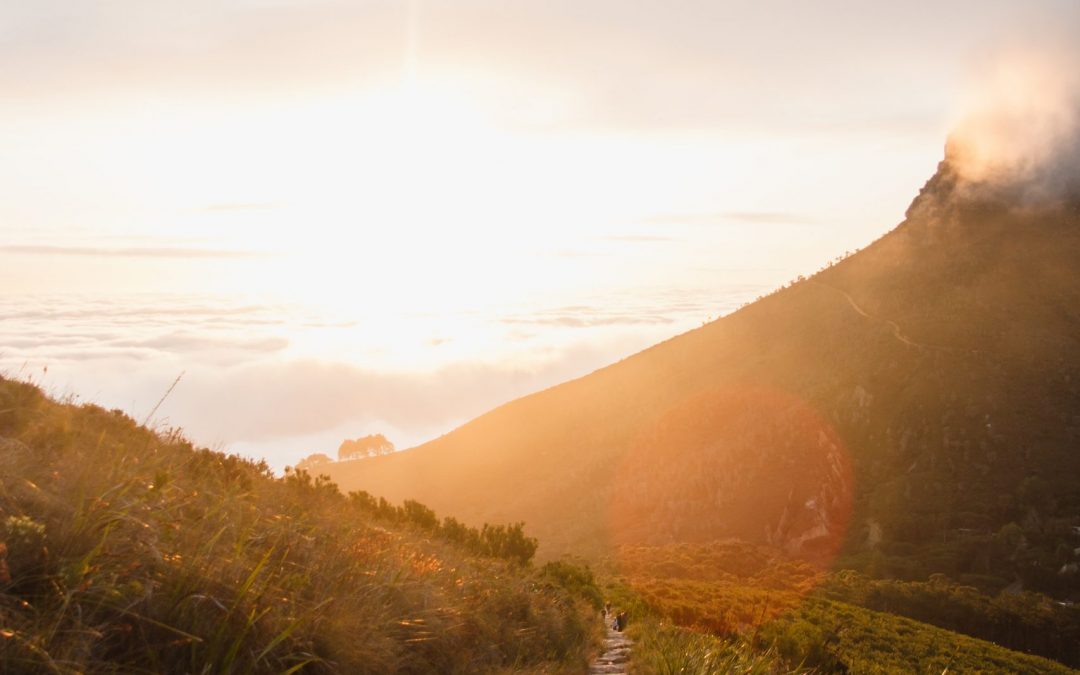 Powrót na ścieżkę wzrostów